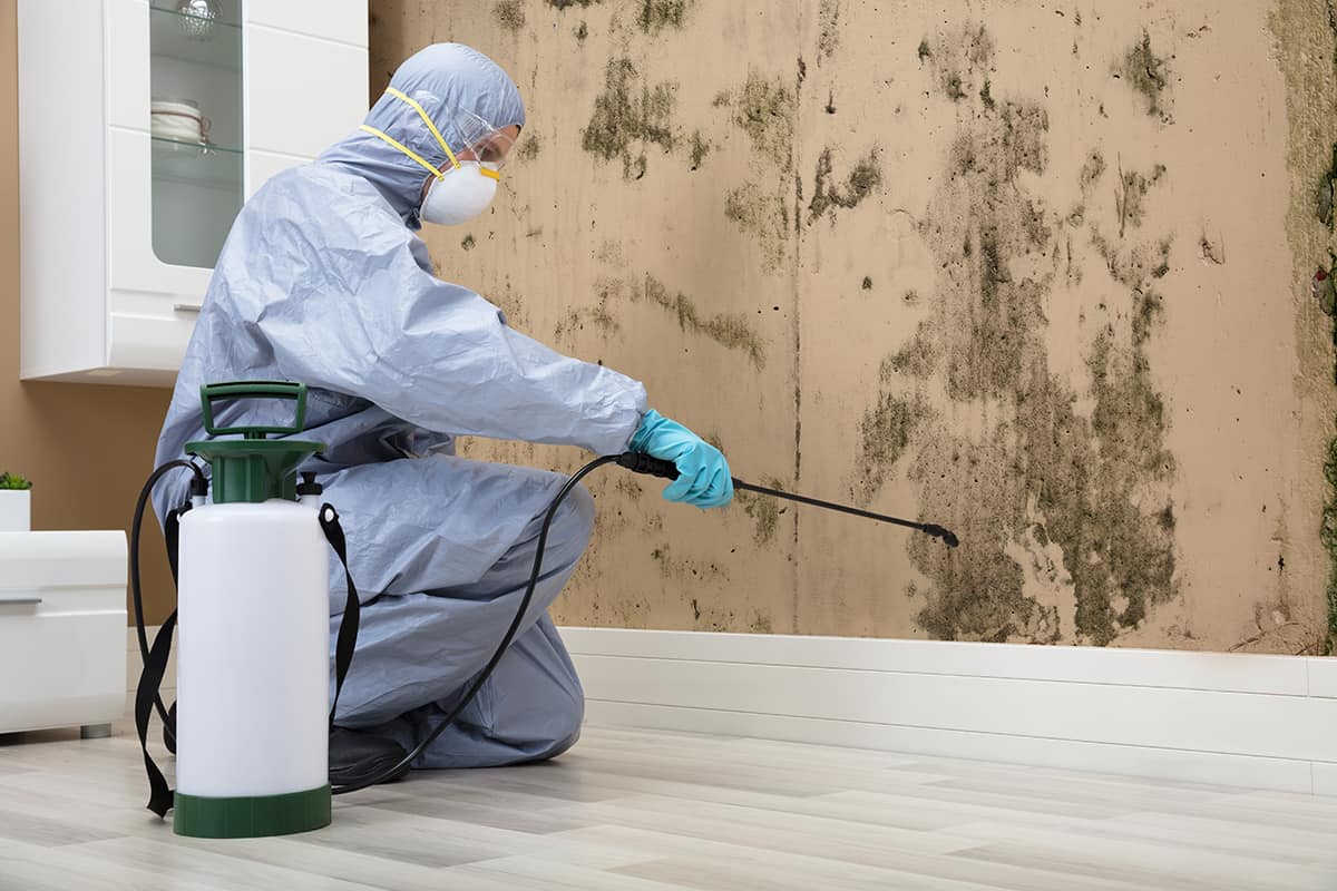 Mold inspection Service in all cities of Florida